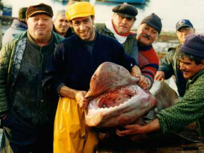 Pinuccio Fiorentino e lo squalo di quattro tonnellate pescato quando aveva 20 anni